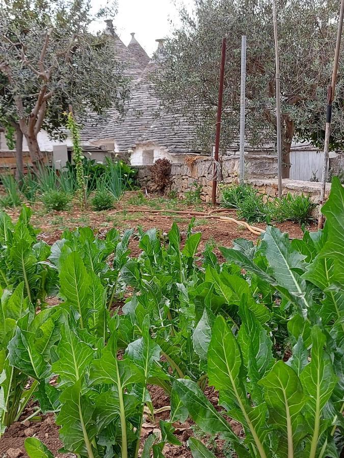 Il Trullo Di Giada E Mattia Vila Alberobello Exterior foto
