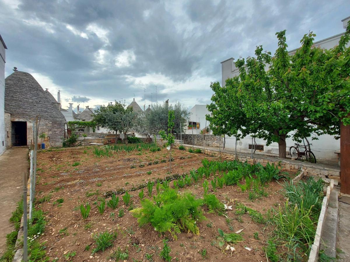 Il Trullo Di Giada E Mattia Vila Alberobello Exterior foto