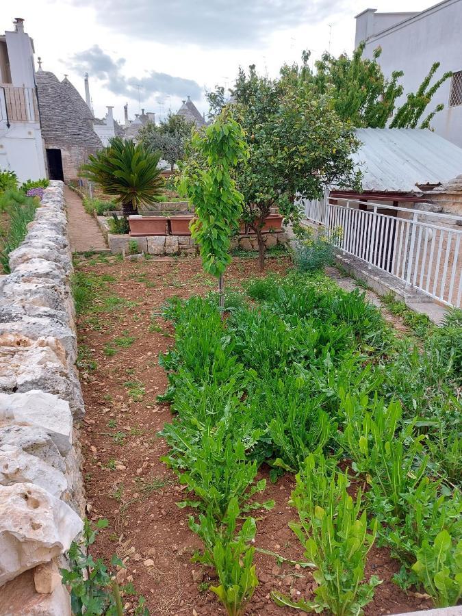 Il Trullo Di Giada E Mattia Vila Alberobello Exterior foto